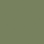 Sage Green (80)