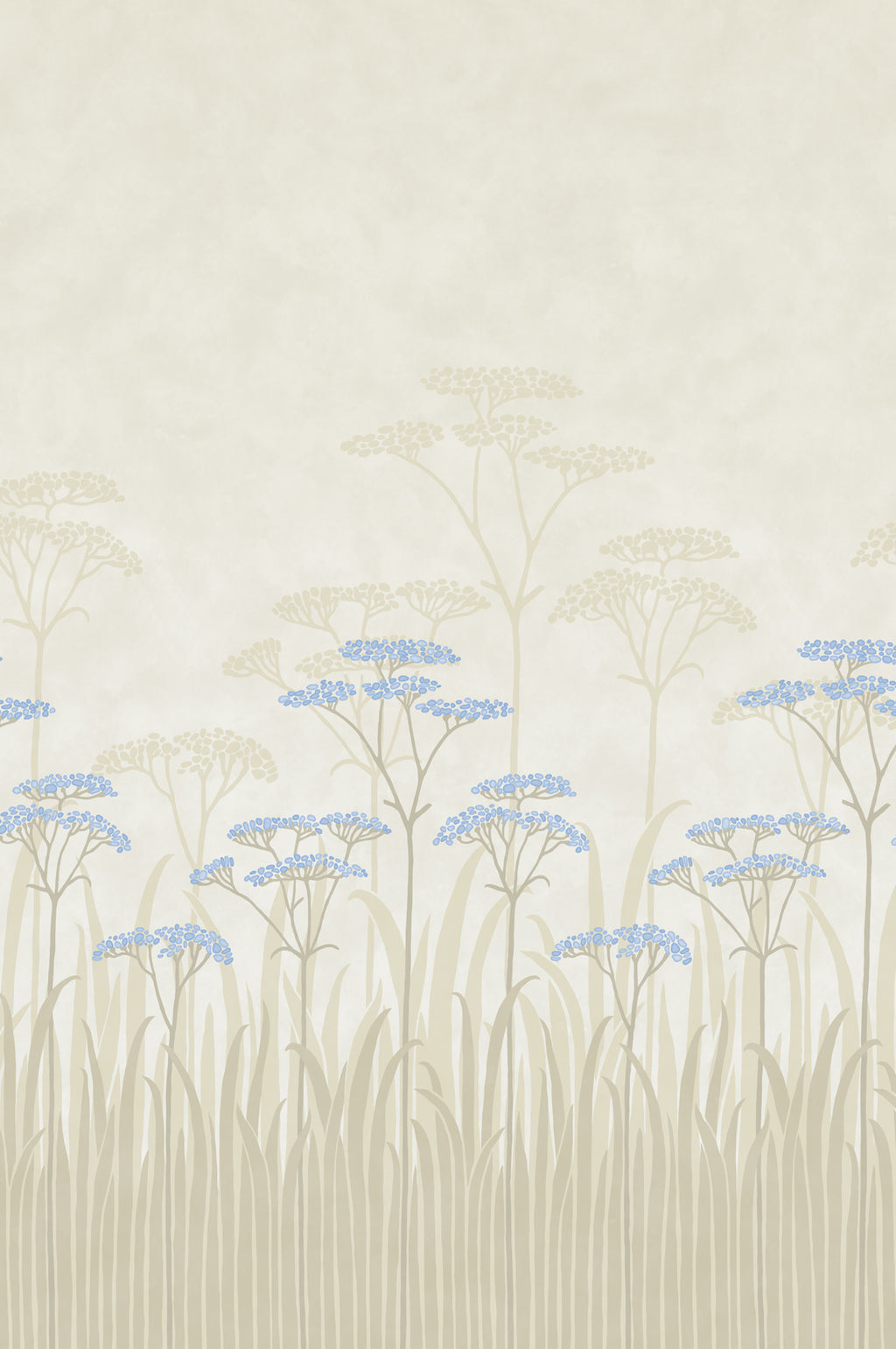 Achillea Wallpaper