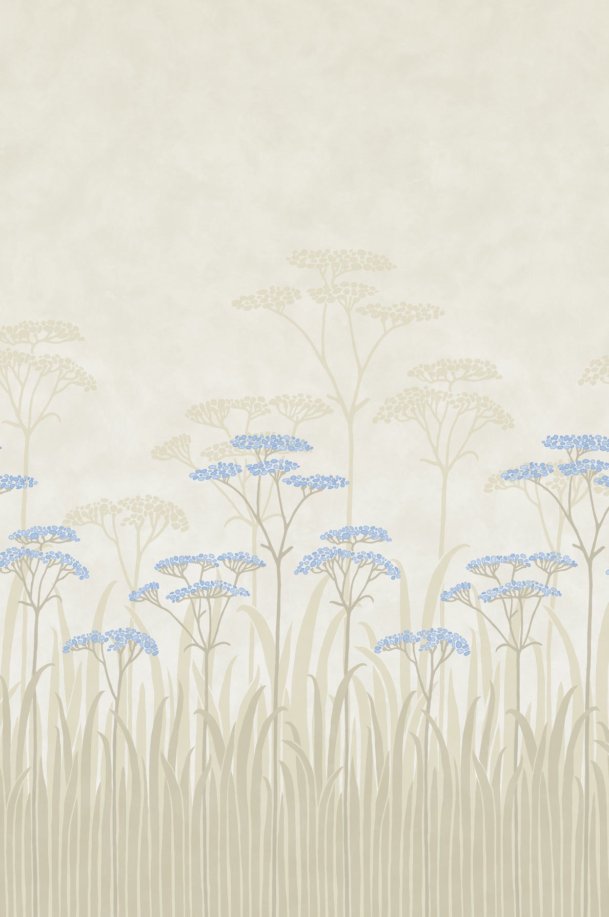 Achillea Wallpaper