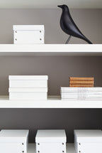 Perennial Grey (245)