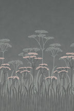 Achillea Wallpaper