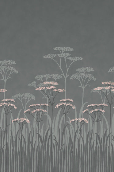 Achillea Wallpaper