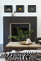 Chocolate Colour (124)