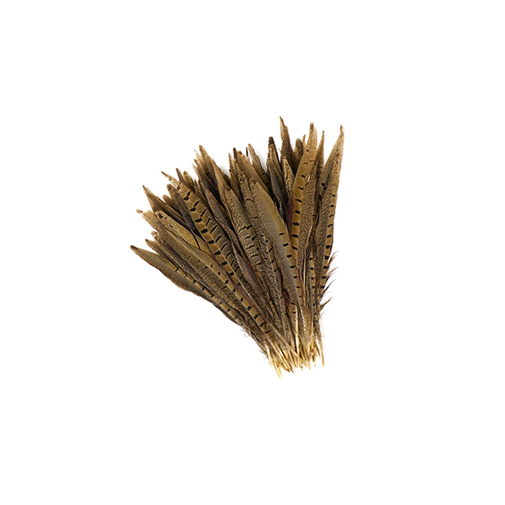Ringneck Pheasant Tails - Natural - 8 - 10"