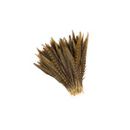 Ringneck Pheasant Tails 10-12" - Natural